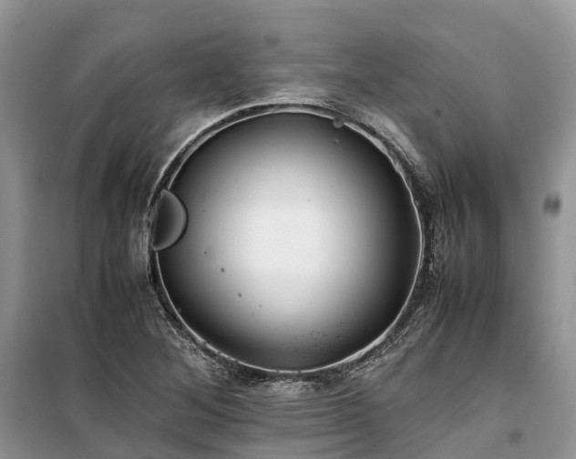 X0000100381268200806131051