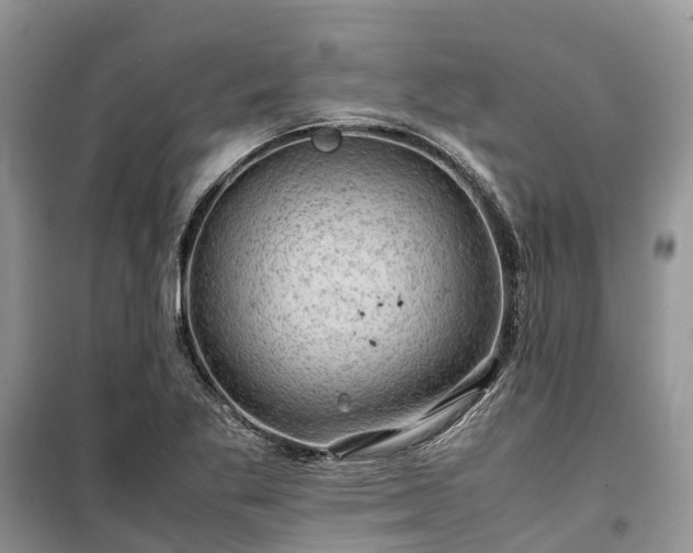 X0000100381269200806131051
