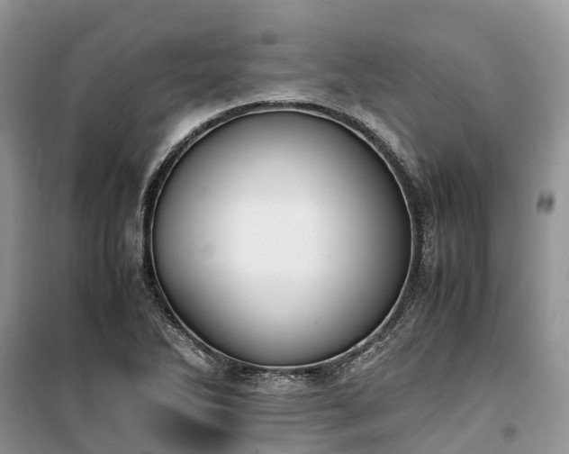 X0000100381270200806131051