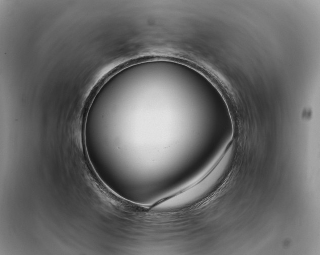 X0000100381272200806131051