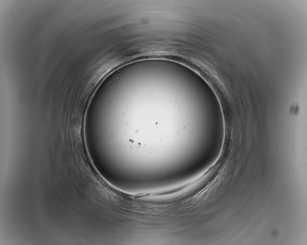 X0000100381273200806131051