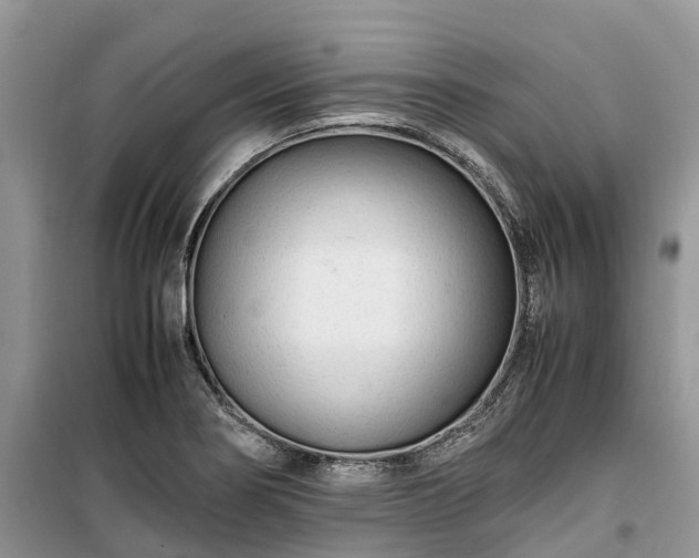 X0000100381274200806131051