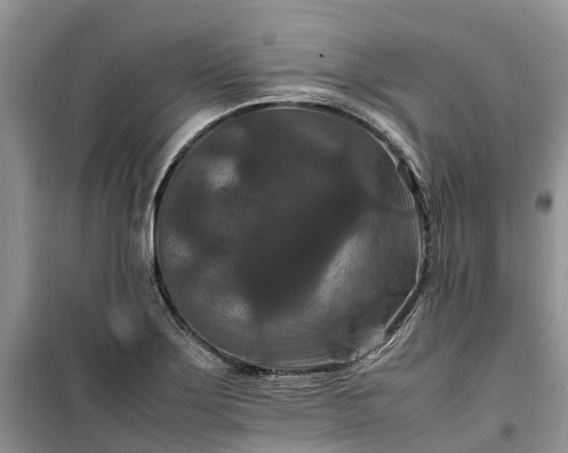 X0000100381275200806131051