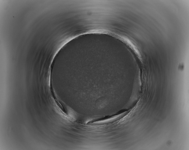 X0000100381276200806131051