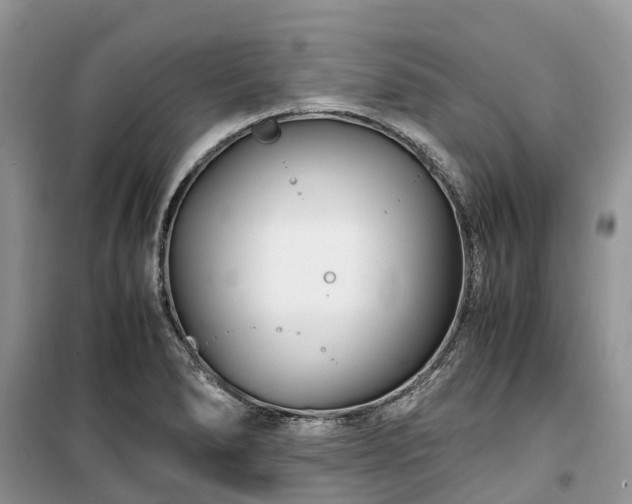 X0000100381278200806131051