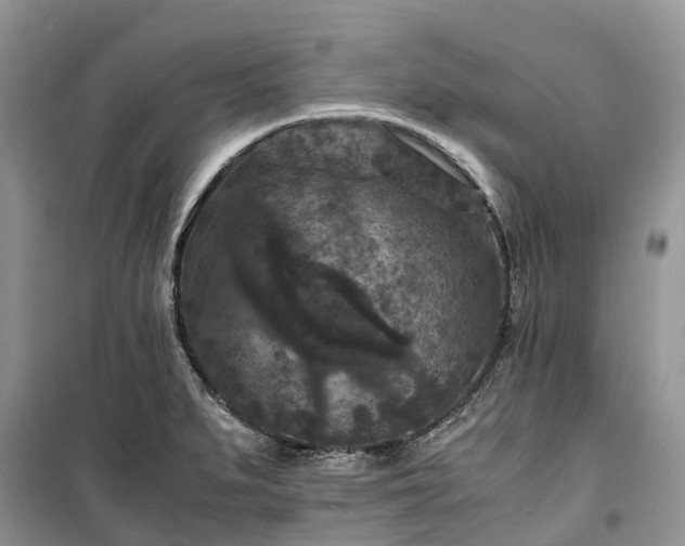 X0000100381279200806131051