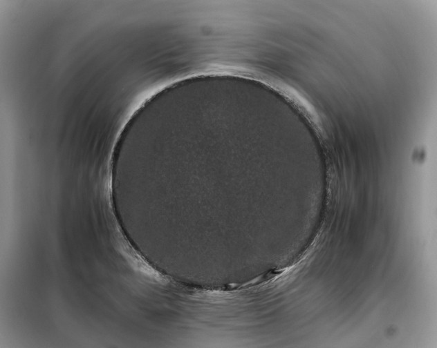 X0000100381280200806131051