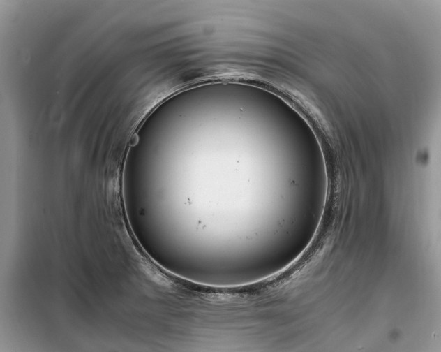 X0000100381281200806131051