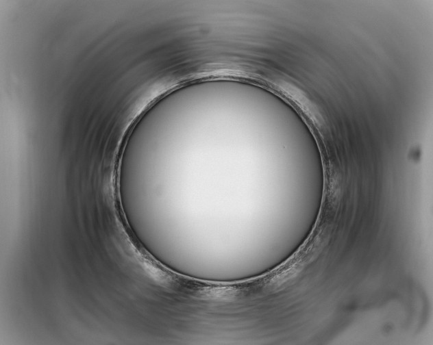 X0000100381282200806131051