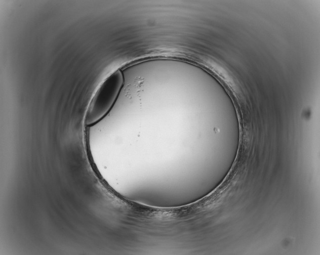 X0000100381283200806131051