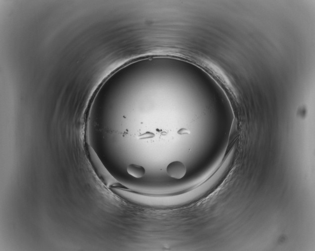 X0000100381284200806131051