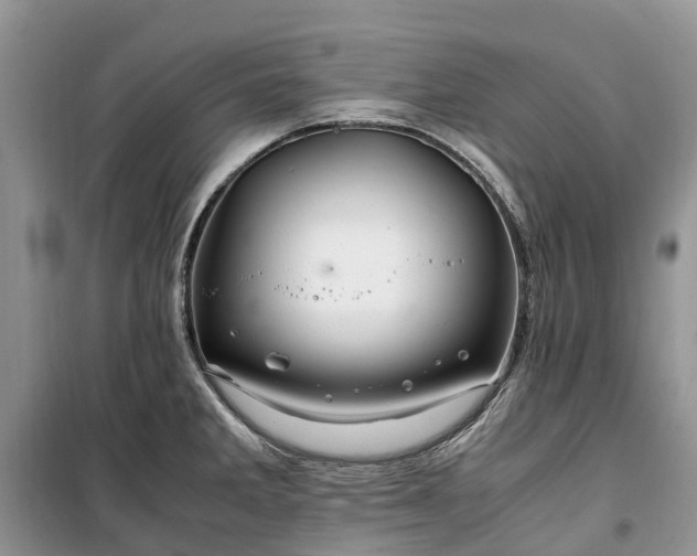 X0000100381285200806131051