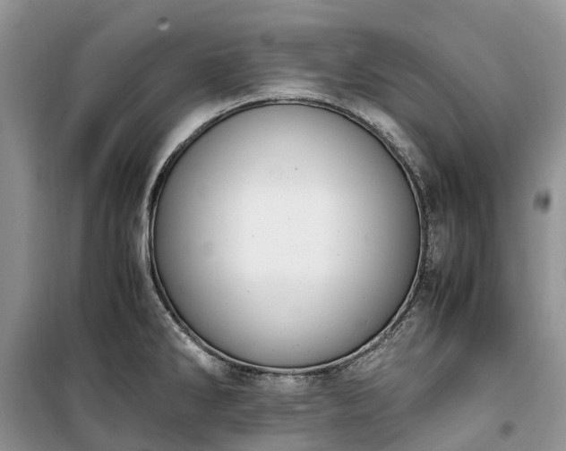 X0000100381286200806131051