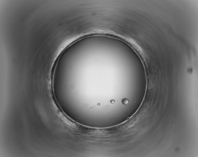 X0000100381287200806131051