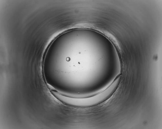 X0000100381288200806131051