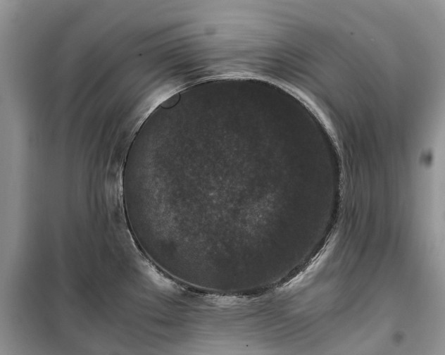 X0000100381289200806131051