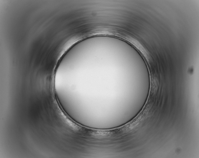 X0000100381290200806131051