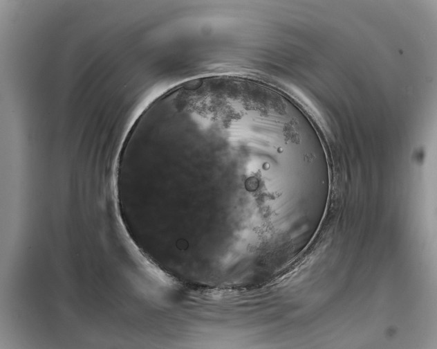 X0000100381291200806131051