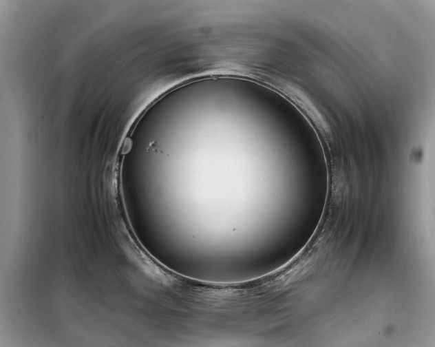 X0000100381292200806131051