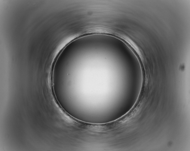 X0000100381293200806131051
