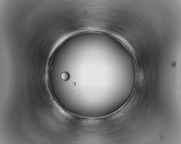 X0000100381294200806131051