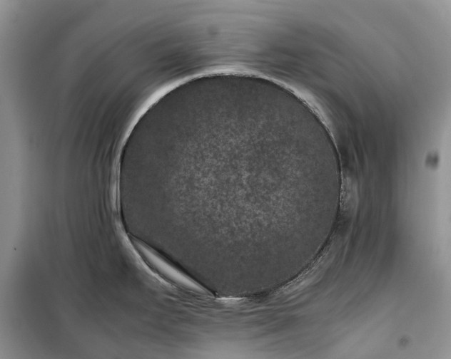 X0000100381295200806131051