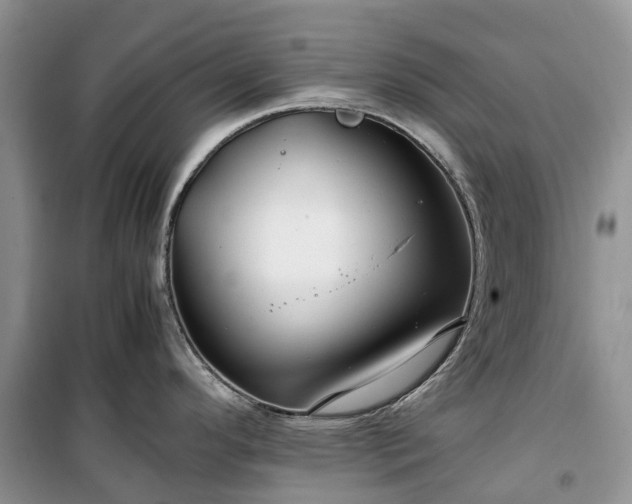 X0000100381296200806131051