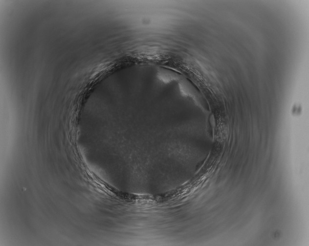 X0000100381297200806131050