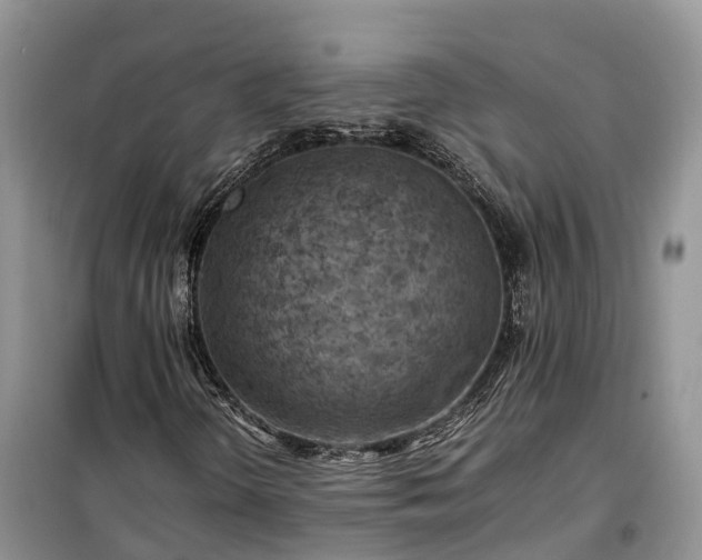 X0000100381298200806131050