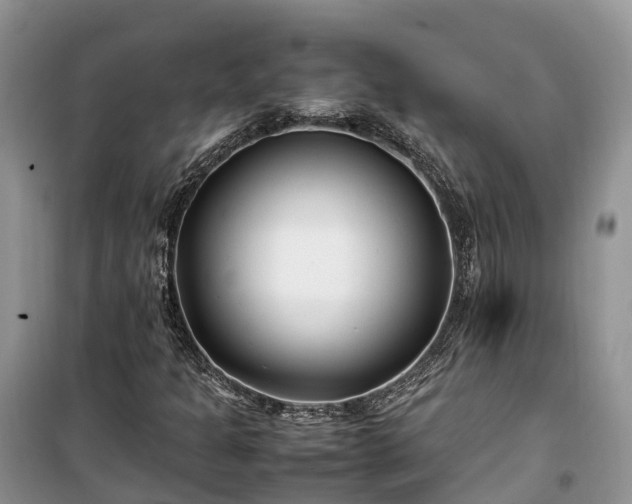 X0000100381301200806131050