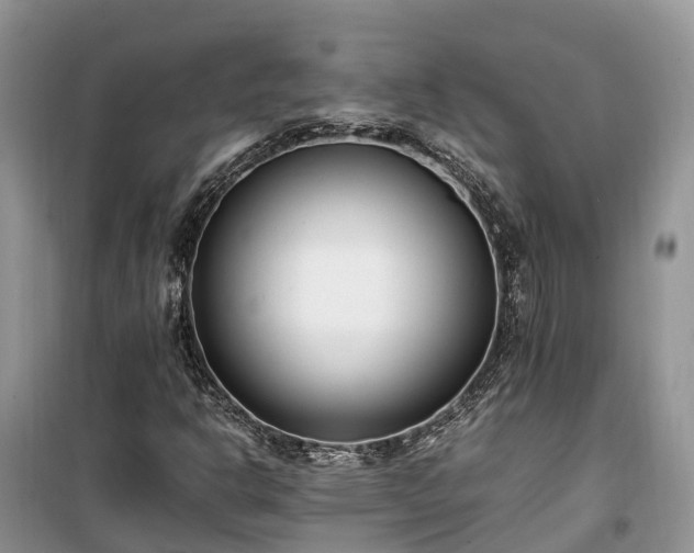 X0000100381302200806131050