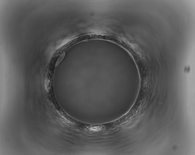 X0000100381303200806131050