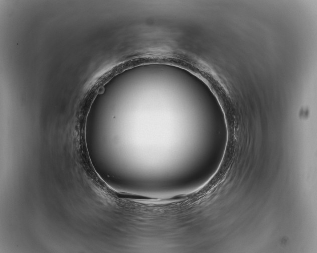 X0000100381304200806131050