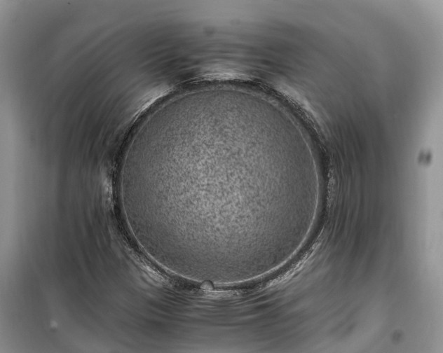 X0000100381305200806131050