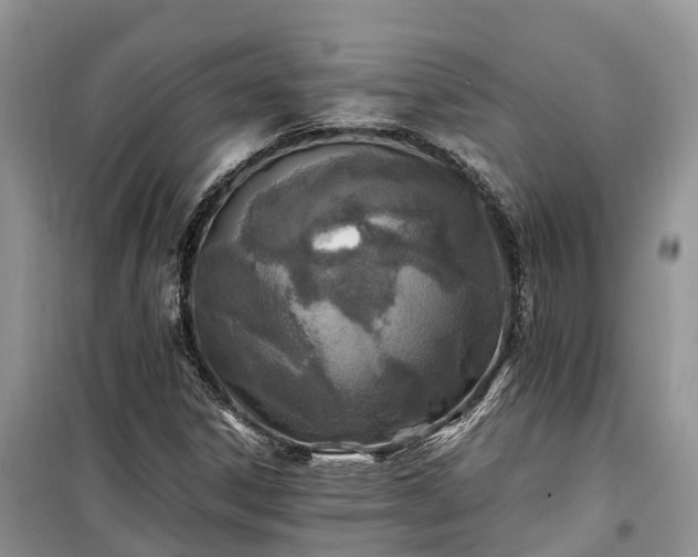 X0000100381306200806131050