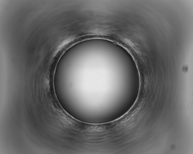 X0000100381307200806131050