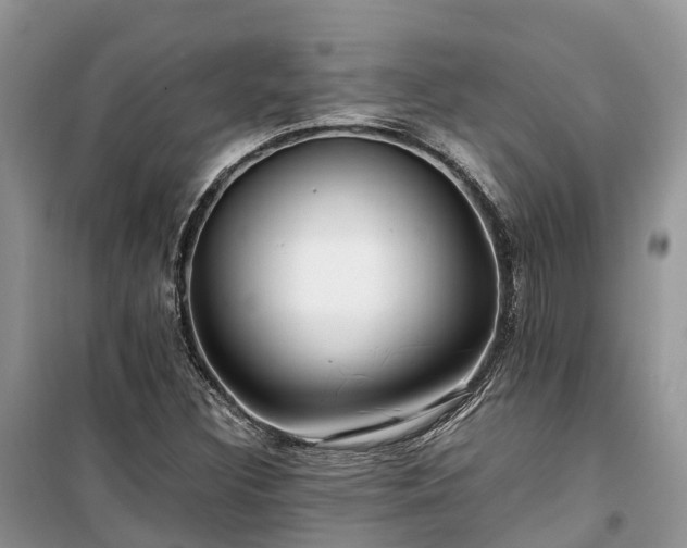 X0000100381308200806131051