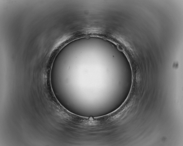 X0000100381309200806131051