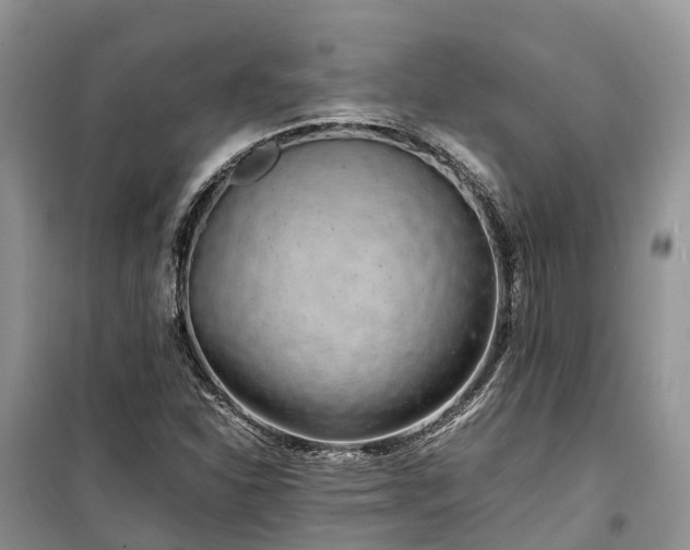 X0000100381310200806131051