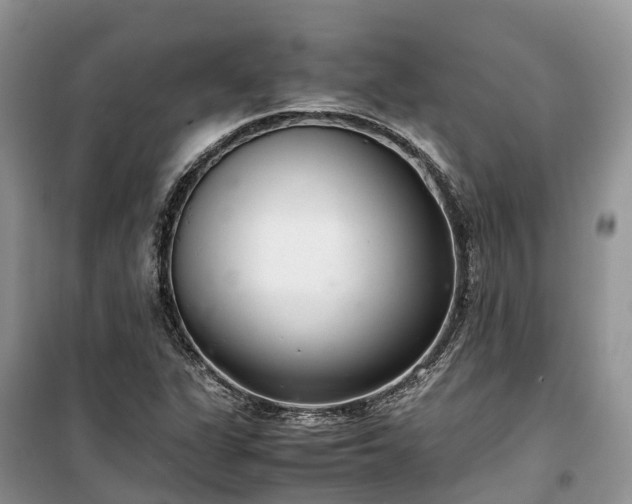 X0000100381311200806131051