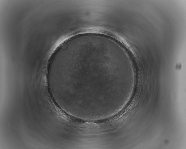 X0000100381312200806131051