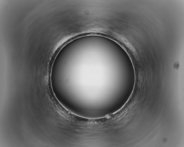 X0000100381316200806131051
