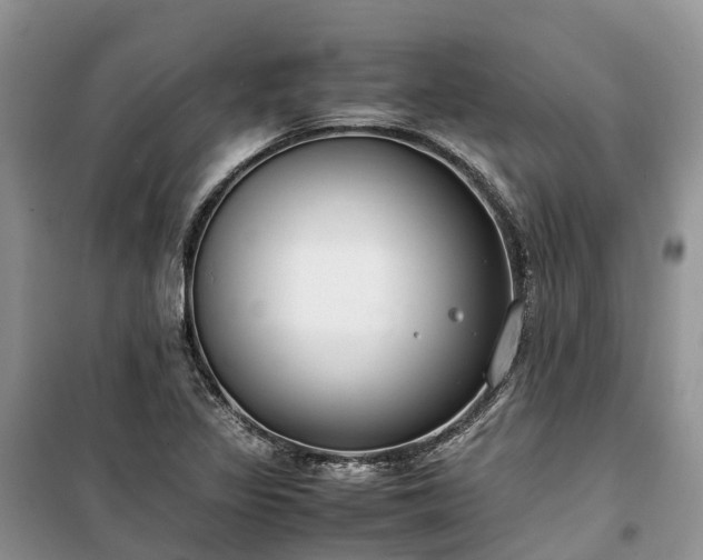 X0000100381317200806131051