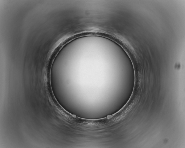 X0000100381318200806131051