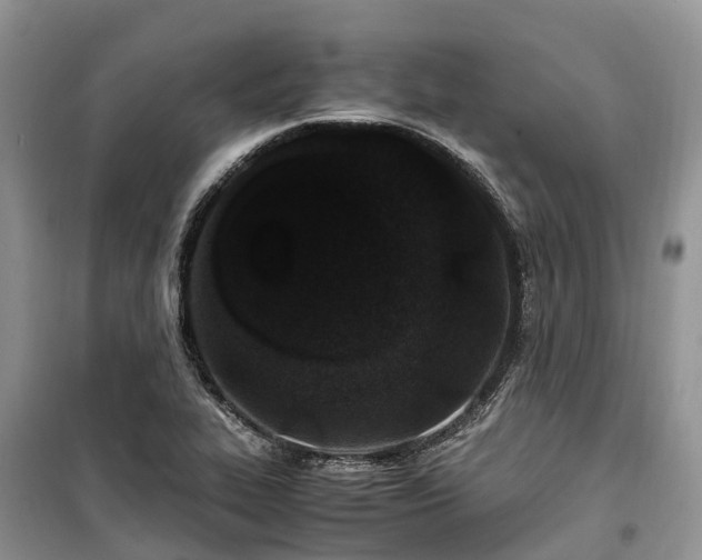 X0000100381319200806131051