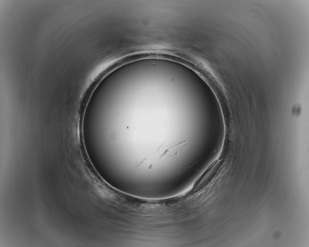 X0000100381320200806131051