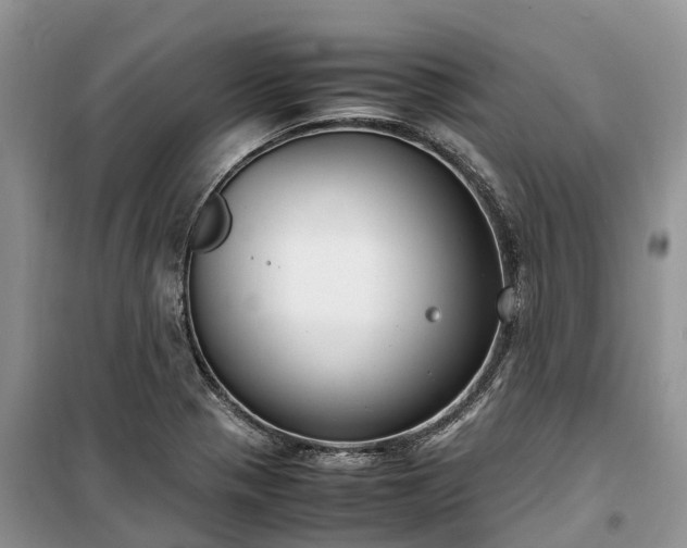X0000100381321200806131051