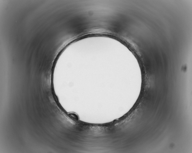 X0000100381322200806131051