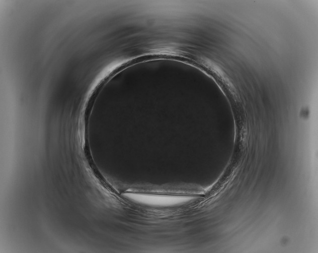 X0000100381323200806131051