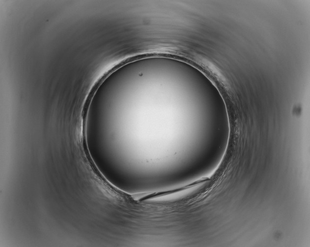 X0000100381324200806131051